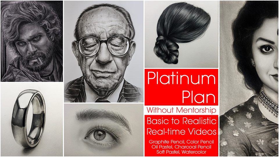 Platinum Plan – Basic to Advance – Lifetime Access